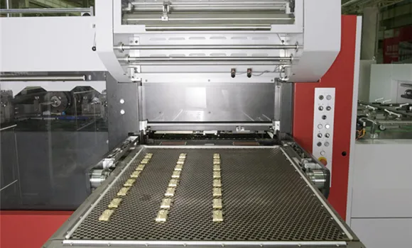 Die Cutting Section